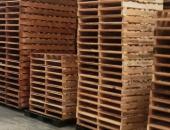 Dịch vụ Đóng Pallet Gỗ Theo Yêu Cầu tại Bình Dương