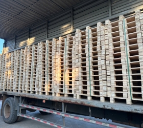 pallet gỗ bàu bàng