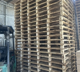 pallet gỗ bến cát