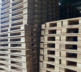 pallet gỗ phú giáo