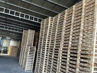 Xưởng pallet gỗ Đồng Phú được nhiều doanh nghiệp tìm kiếm hiện nay