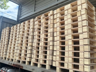 Xưởng pallet gỗ Chơn Thành đáp ứng tốt nhu cầu kho xưởng hiện nay