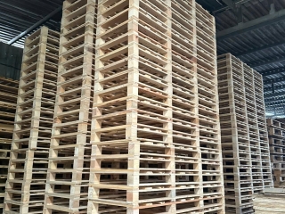 Pallet gỗ Đức Hòa bền chắc, giá hợp lý, đáp ứng nhanh cho doanh nghiệp