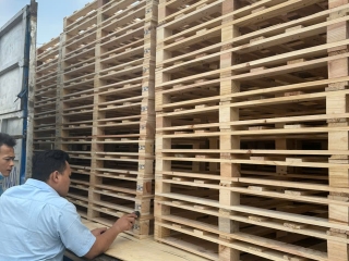 Pallet Long An chất lượng ổn định, giá tốt cho kho xưởng và doanh nghiệp