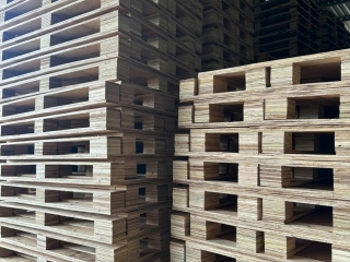 Pallet gỗ Phú Giáo chất lượng ổn định, giá tốt cho doanh nghiệp