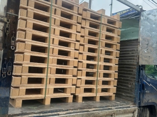 Dịch vụ Cho Thuê Pallet Các Loại - Công ty Pallet Minh Phan, Tân Uyên, Bình Dương