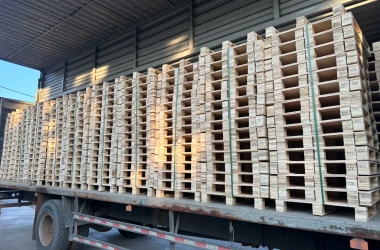 Pallet Bàu Bàng chất lượng, giá tốt tại Minh Phan