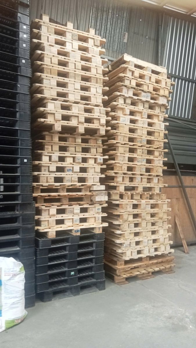 Dịch Vụ Cung Cấp Pallet Gỗ Tại Bình Dương