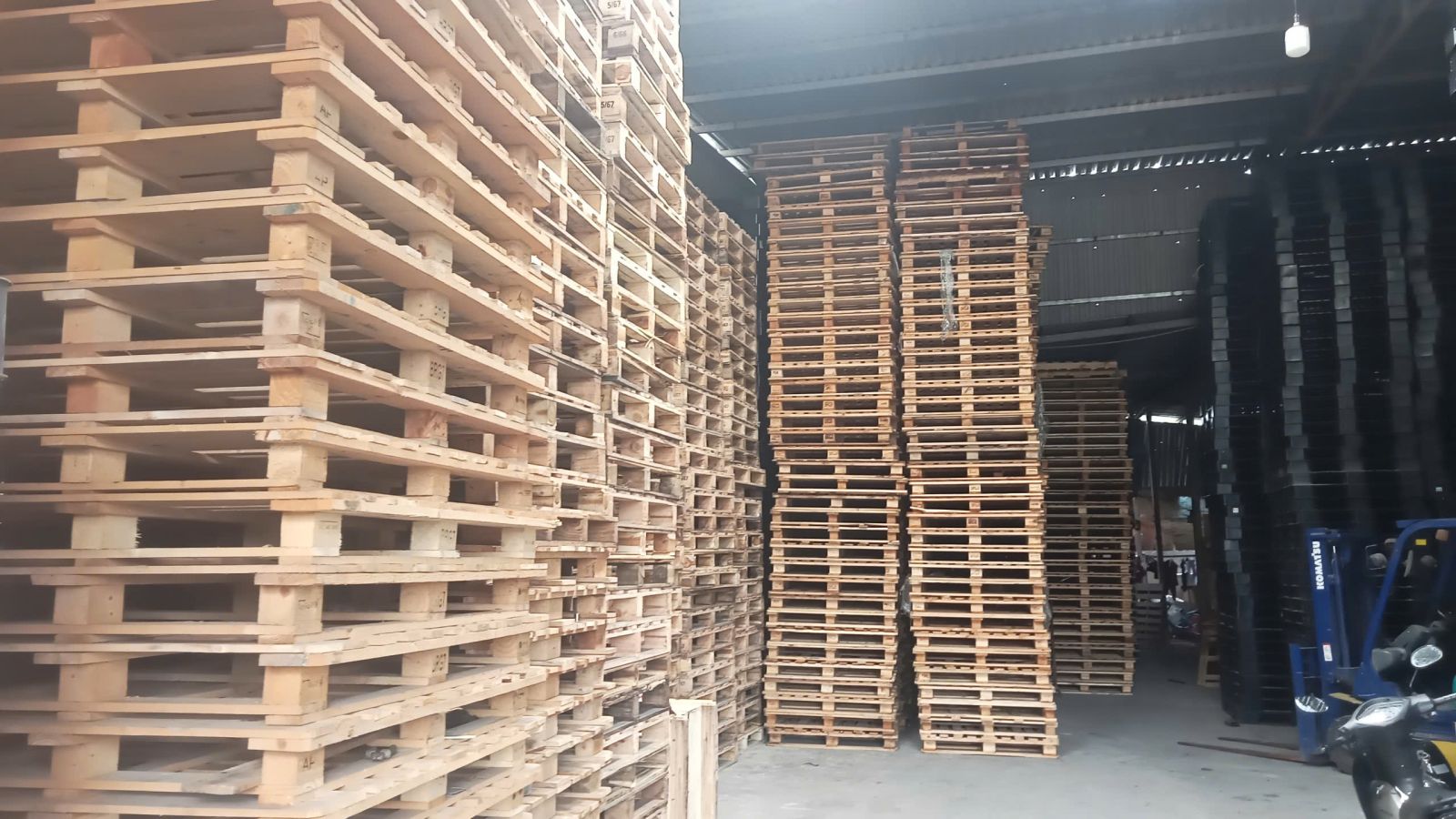 Chuyên Pallet Gỗ - Nhựa Bình Dương