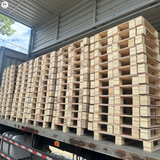 pallet gỗ chơn thành